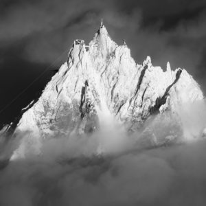 foto nadel des mittags winter