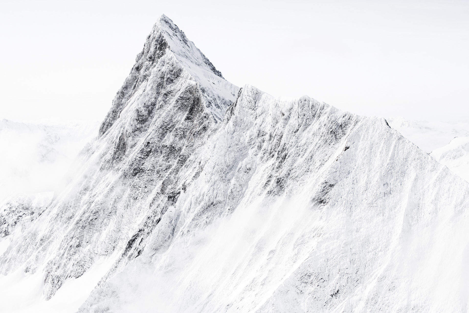 Sommet des Alpes Bernoises et de la roche en montagne sous la neige - Finsteraarhorn