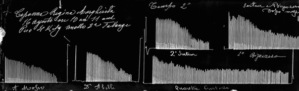 Fatigue curves of Mosso and his companions, taken during their stay at Monte Rosa in 1894.