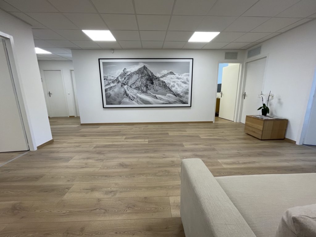 professional office decoration company - photo mountain large size