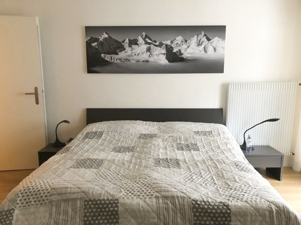 large format mountain photo in a room