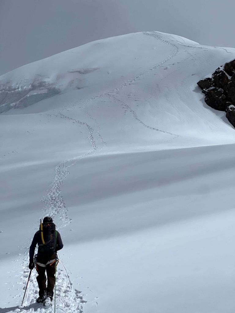 Alpiniste encordé marchant sur le glacier en direction du Ludwigshöhe