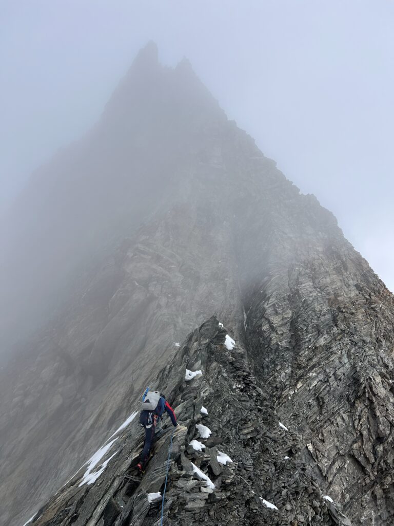 Montée au Dom Montée au Dom - Sommet des Alpes