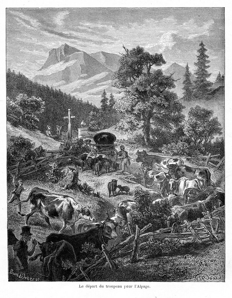 Transhumance Départ en alpage : la tradition alpine en marche Transhumance Mountain pasture departure: Alpine tradition on the move